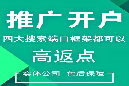 百度竞价广告运营全解析：成功案例揭秘